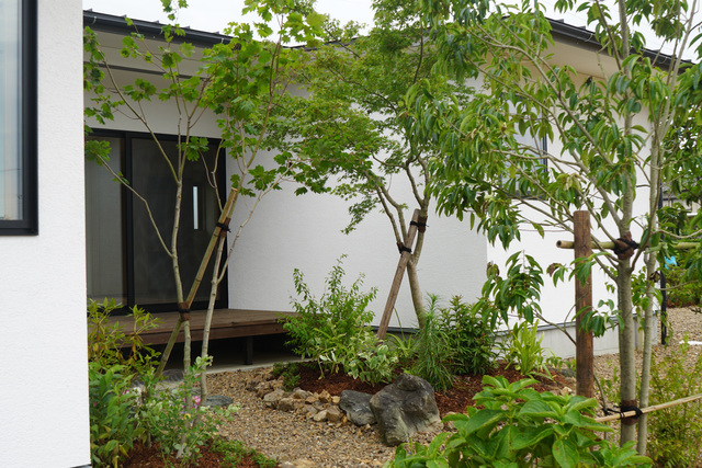 中庭のあるコンパクトな平屋完成見学会のメイン画像