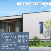 【新発想な新商品！】新商品「Lodina」発表会開催！のメイン画像