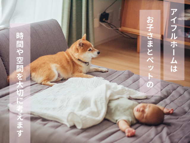 【新居浜展示場】ペットと暮らす家 プランニング提案会！のメイン画像