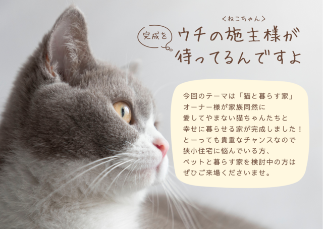 【特別開催】新築完成見学会　～猫と暮らす家～のメイン画像