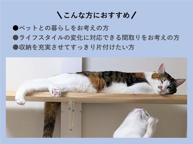 リズミカルな空間で猫と暮らす｜新潟市秋葉区矢代田のメイン画像
