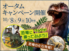 大津展示場　ティラノサウルスに乗って！化石を発見しよう！のメイン画像