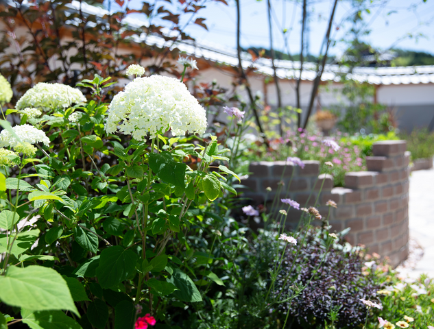 【庭づくり相談会】夏に向けて雑草対策！手つかずのお庭をリニューアルのメイン画像