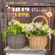 茨城県鹿嶋市「庭とつながる家」のメイン画像
