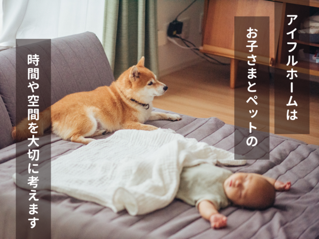 【福島西店】FAVO for PET　ペットと暮らす家のメイン画像