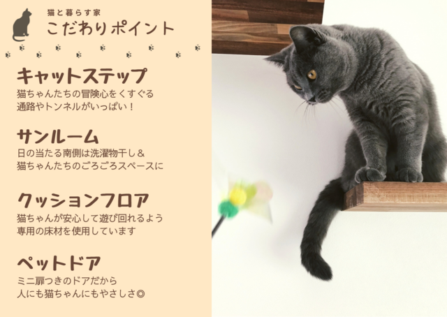 【特別開催】新築完成見学会　～猫と暮らす家～のメイン画像
